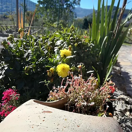 Bed & Breakfast Casa Della Nonna 3*