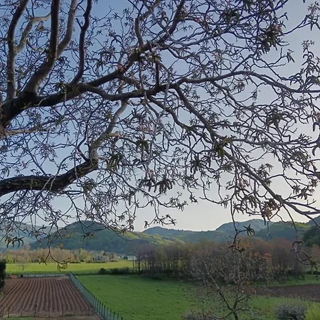 Casa Della Nonna