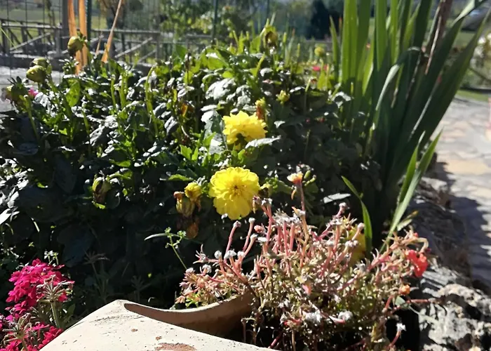 Alojamento de Acomodação e Pequeno-almoço Casa Della Nonna 3*