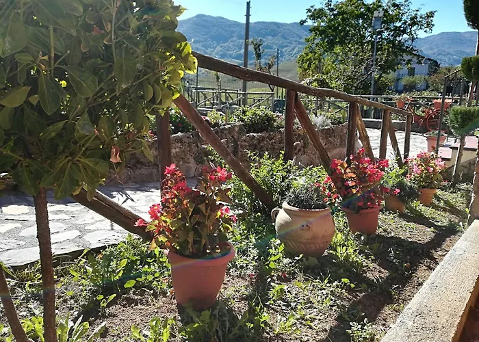 Alojamento de Acomodação e Pequeno-almoço Casa Della Nonna Mormanno