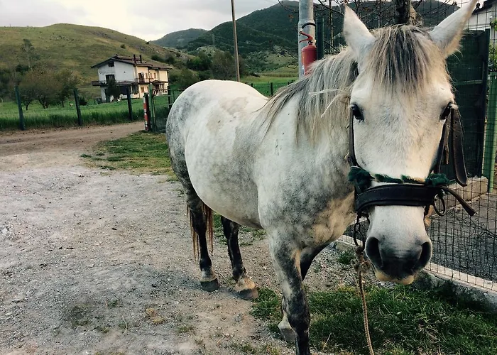 Casa Della Nonna Alojamento de Acomodação e Pequeno-almoço Mormanno